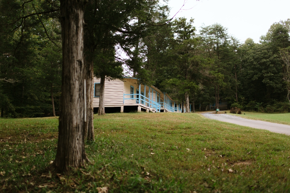 Looking up a grassy hill with a gravel road leading into one of Camp Friendship's lodging areas with white cabins