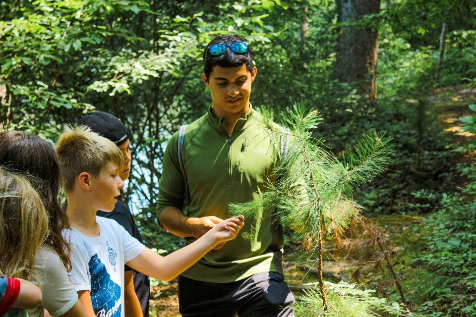 Male counselor shows group of campers how to identify trees in nature of Camp Friendship