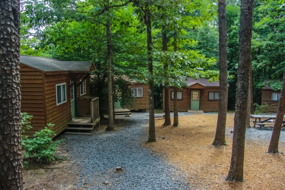 Wooden Cabins of the dogwood village at Camp Friendship with a grove of trees