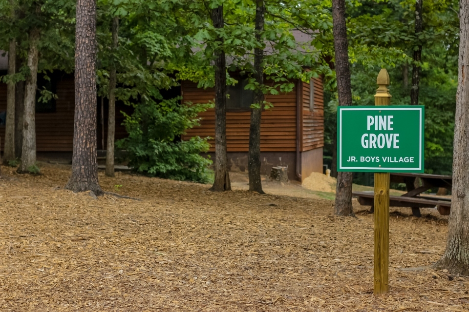 Green sign reading "Pine Grove Junior Boys Village" overlooking the grove of pine trees in the pine grove village
